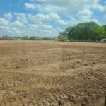 Land Cleared in Lafayette La